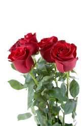 Similar image 1261533