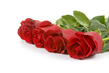 Similar image 1261534