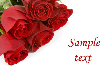 Similar image 1261536