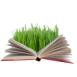 Similar image 1261539