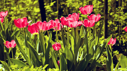 Similar image 1261547