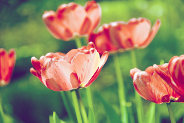 Similar image 1261551