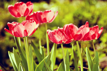 Similar image 1261552