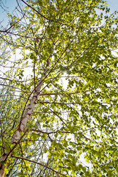 Similar image 1261556