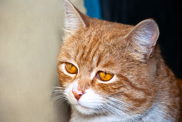 Similar image 1261557