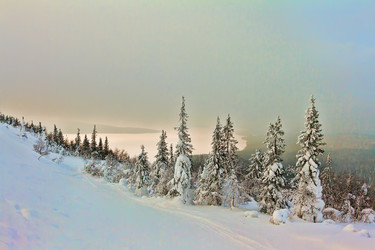 Similar image 1261621