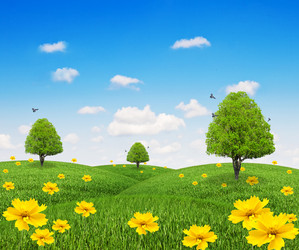 Similar image 1261647