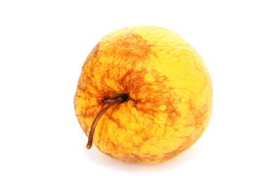 Similar image 1261668