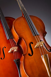 Similar image 1261739