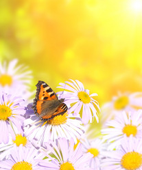 Similar image 1261772