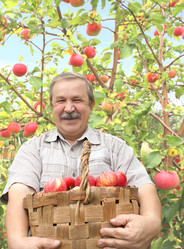 Similar image 1261773