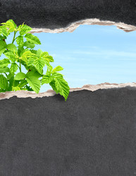 Similar image 1261784