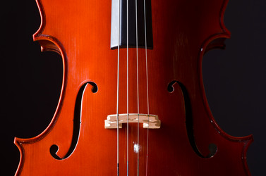 Similar image 1261837