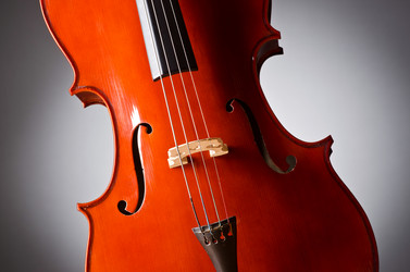 Similar image 1261838