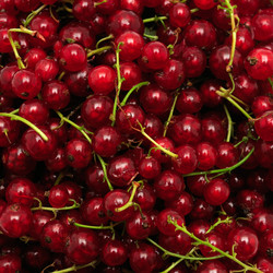 Similar image 1261868