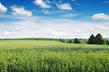 Similar image 1261870