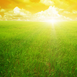 Similar image 1261884