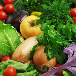 Similar image 1261887