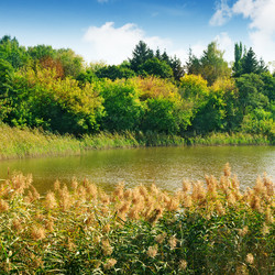 Similar image 1261898