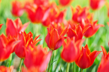 Similar image 1261909