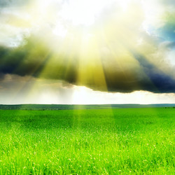 Similar image 1261917