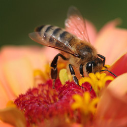 Similar image 1261923