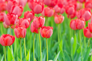 Similar image 1261928