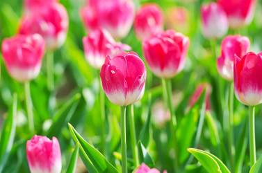 Similar image 1261929