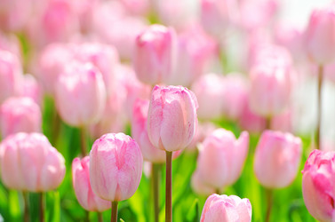 Similar image 1261930