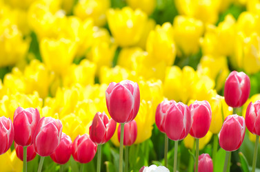 Similar image 1261950