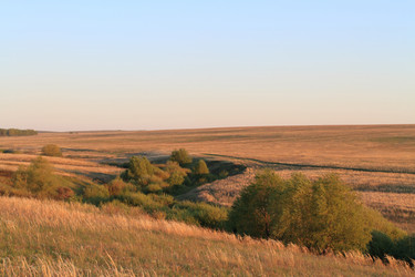 Similar image 1261961