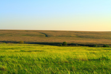 Similar image 1261962