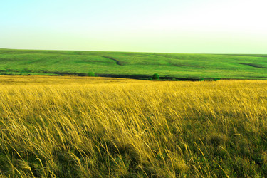 Similar image 1261963