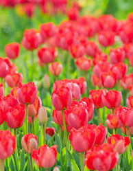 Similar image 1261989