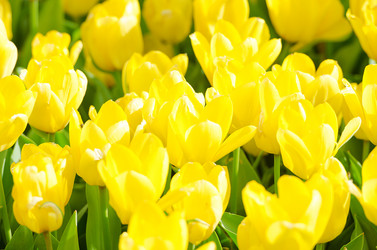 Similar image 1261991