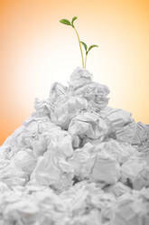 Similar image 1262032