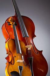 Similar image 1262075