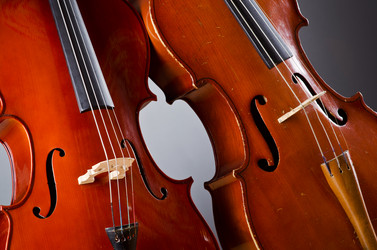 Similar image 1262079