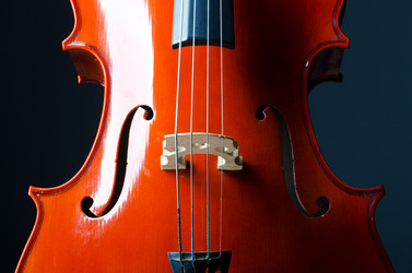 Similar image 1262153