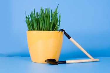 Similar image 1262269