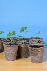 Similar image 1262270