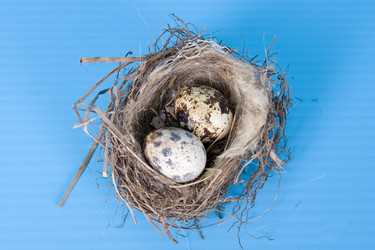 Similar image 1262271