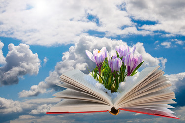 Similar image 1262279