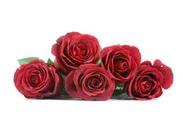 Similar image 1262281