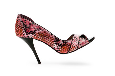 Similar image 1262380