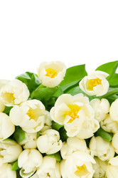 Similar image 1262650