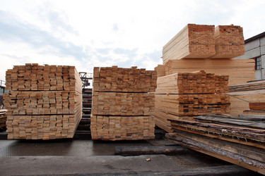 Similar image 1262652