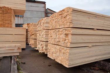 Similar image 1262654