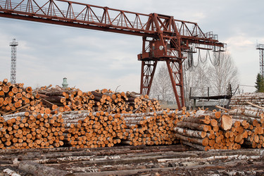 Similar image 1262669