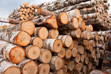 Similar image 1262677